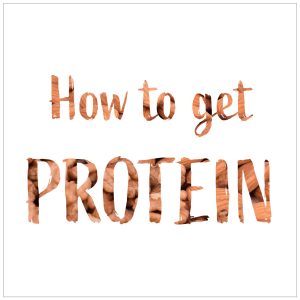 How To Get Protein on a Vegan Diet
