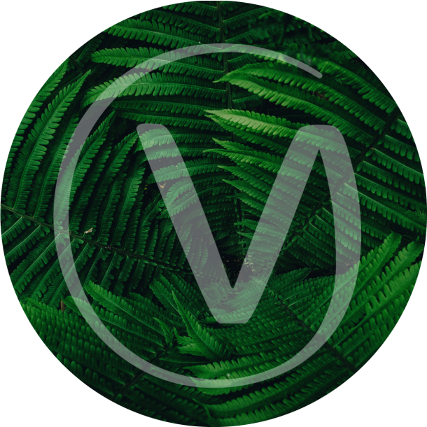 Ferns | Vegan Inspire Icon
